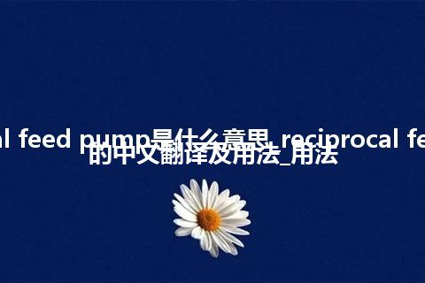 reciprocal feed pump是什么意思_reciprocal feed pump的中文翻译及用法_用法