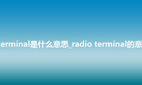 radio terminal是什么意思_radio terminal的意思_用法