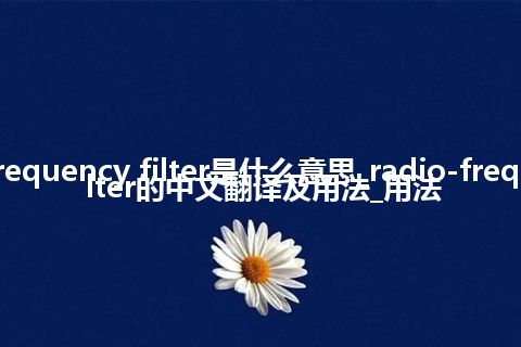 radio-frequency filter是什么意思_radio-frequency filter的中文翻译及用法_用法