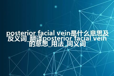 posterior facial vein是什么意思及反义词_翻译posterior facial vein的意思_用法_同义词
