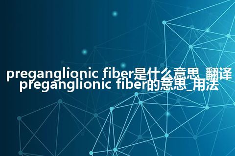 preganglionic fiber是什么意思_翻译preganglionic fiber的意思_用法