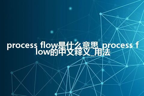 process flow是什么意思_process flow的中文释义_用法