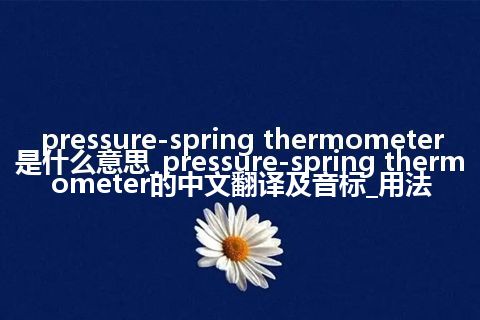 pressure-spring thermometer是什么意思_pressure-spring thermometer的中文翻译及音标_用法