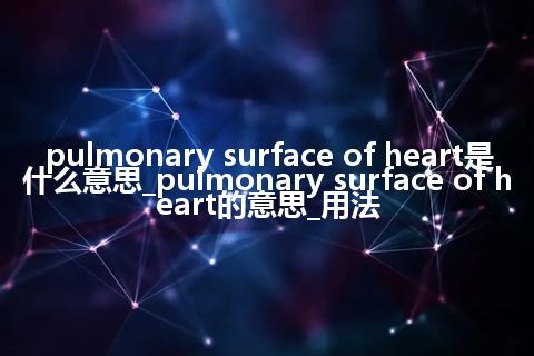 pulmonary surface of heart是什么意思_pulmonary surface of heart的意思_用法