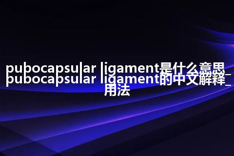 pubocapsular ligament是什么意思_pubocapsular ligament的中文解释_用法