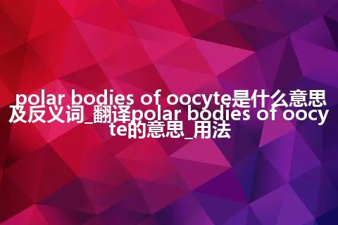 polar bodies of oocyte是什么意思及反义词_翻译polar bodies of oocyte的意思_用法