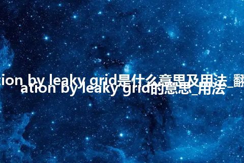 rectification by leaky grid是什么意思及用法_翻译rectification by leaky grid的意思_用法