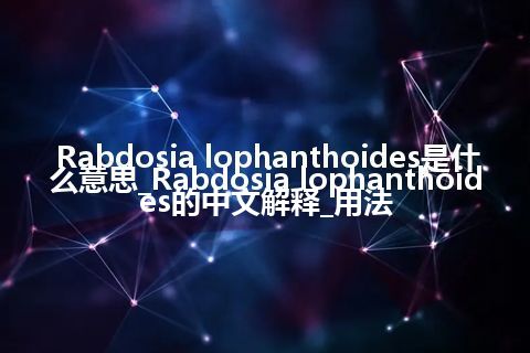 Rabdosia lophanthoides是什么意思_Rabdosia lophanthoides的中文解释_用法
