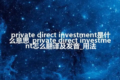 private direct investment是什么意思_private direct investment怎么翻译及发音_用法