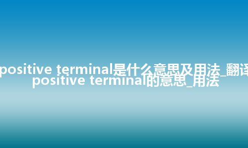 positive terminal是什么意思及用法_翻译positive terminal的意思_用法