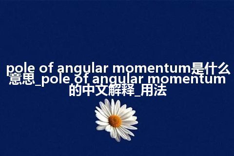 pole of angular momentum是什么意思_pole of angular momentum的中文解释_用法