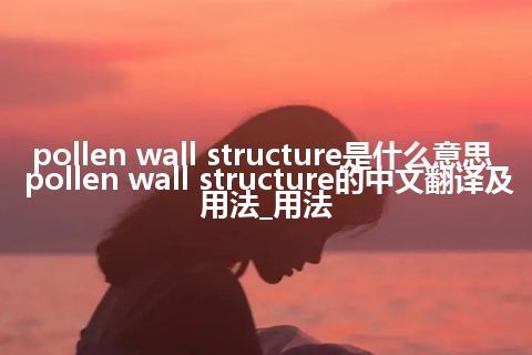 pollen wall structure是什么意思_pollen wall structure的中文翻译及用法_用法