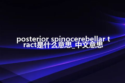 posterior spinocerebellar tract是什么意思_中文意思