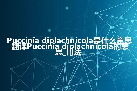 Puccinia diplachnicola是什么意思_翻译Puccinia diplachnicola的意思_用法