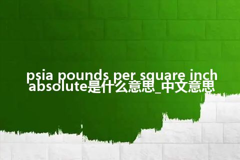 psia pounds per square inch absolute是什么意思_中文意思