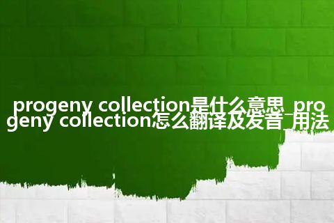 progeny collection是什么意思_progeny collection怎么翻译及发音_用法