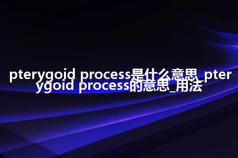 pterygoid process是什么意思_pterygoid process的意思_用法