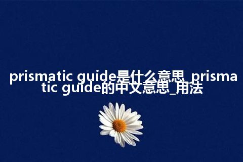 prismatic guide是什么意思_prismatic guide的中文意思_用法
