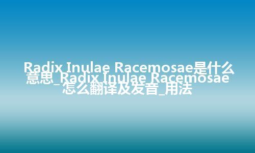 Radix Inulae Racemosae是什么意思_Radix Inulae Racemosae怎么翻译及发音_用法