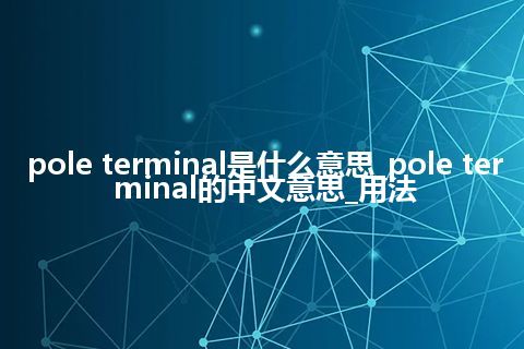 pole terminal是什么意思_pole terminal的中文意思_用法