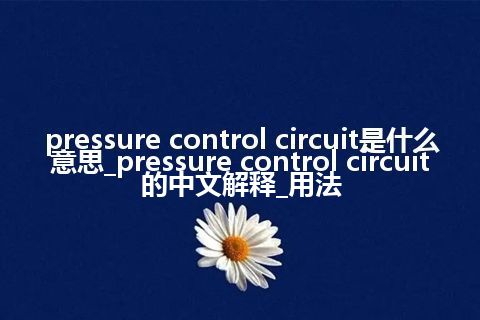 pressure control circuit是什么意思_pressure control circuit的中文解释_用法