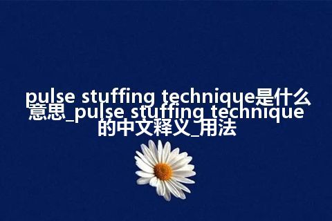 pulse stuffing technique是什么意思_pulse stuffing technique的中文释义_用法