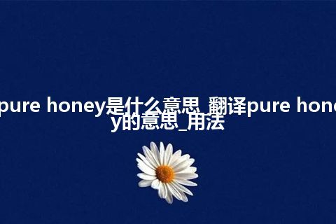 pure honey是什么意思_翻译pure honey的意思_用法