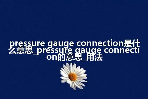 pressure gauge connection是什么意思_pressure gauge connection的意思_用法