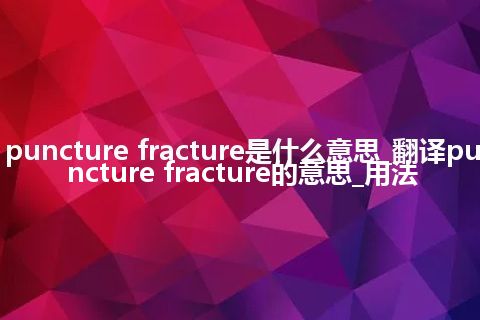 puncture fracture是什么意思_翻译puncture fracture的意思_用法