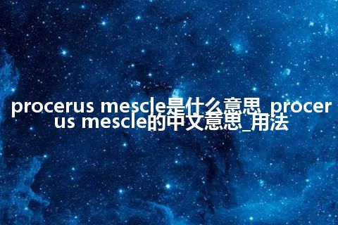 procerus mescle是什么意思_procerus mescle的中文意思_用法