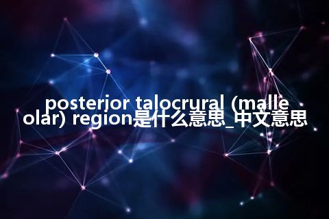 posterior talocrural (malleolar) region是什么意思_中文意思