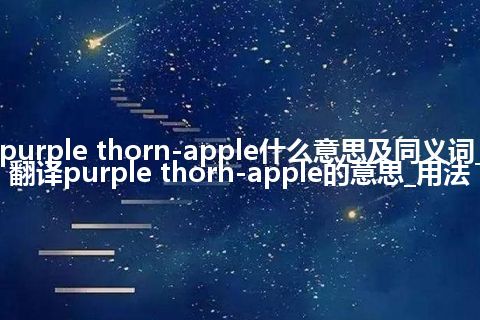 purple thorn-apple什么意思及同义词_翻译purple thorn-apple的意思_用法