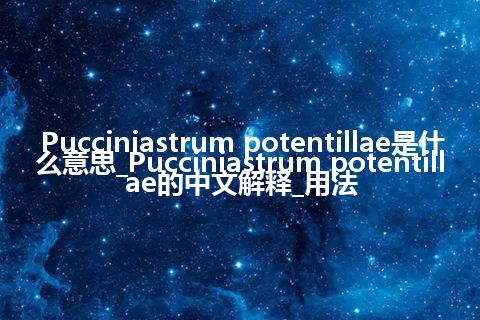 Pucciniastrum potentillae是什么意思_Pucciniastrum potentillae的中文解释_用法