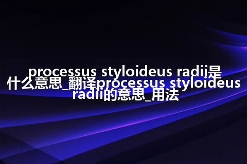 processus styloideus radii是什么意思_翻译processus styloideus radii的意思_用法