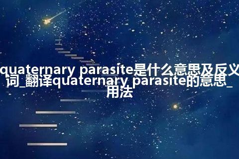 quaternary parasite是什么意思及反义词_翻译quaternary parasite的意思_用法