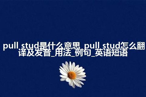 pull stud是什么意思_pull stud怎么翻译及发音_用法_例句_英语短语