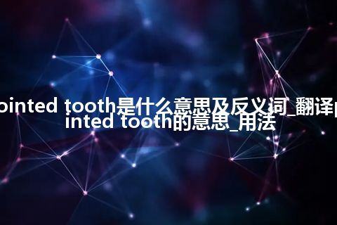 pointed tooth是什么意思及反义词_翻译pointed tooth的意思_用法