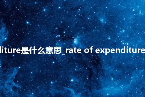 rate of expenditure是什么意思_rate of expenditure的中文意思_用法