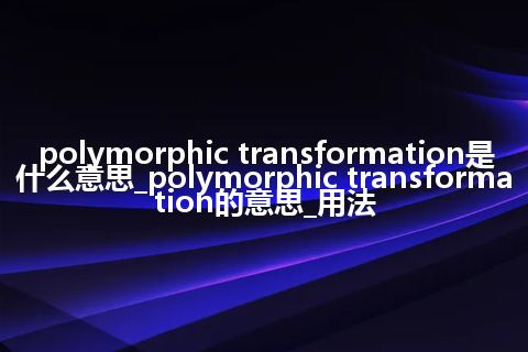 polymorphic transformation是什么意思_polymorphic transformation的意思_用法