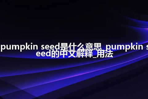 pumpkin seed是什么意思_pumpkin seed的中文解释_用法