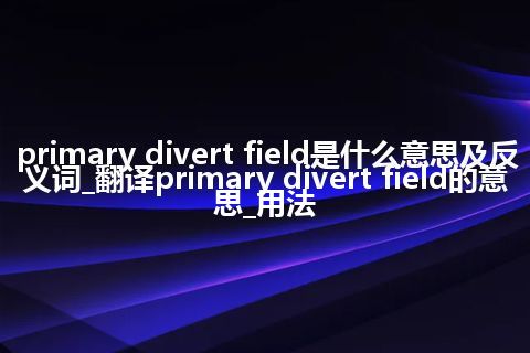 primary divert field是什么意思及反义词_翻译primary divert field的意思_用法