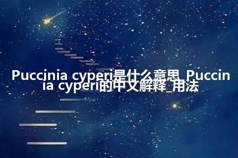 Puccinia cyperi是什么意思_Puccinia cyperi的中文解释_用法