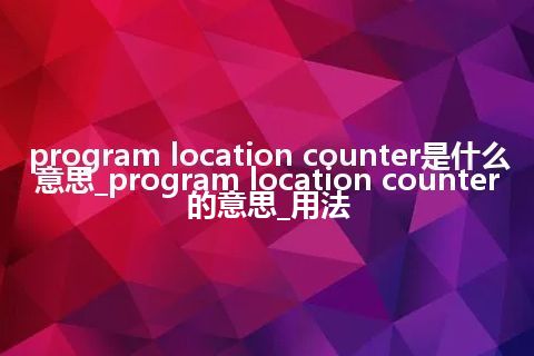 program location counter是什么意思_program location counter的意思_用法