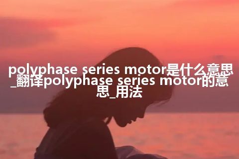 polyphase series motor是什么意思_翻译polyphase series motor的意思_用法