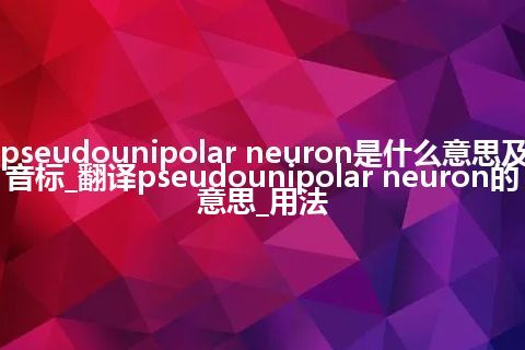 pseudounipolar neuron是什么意思及音标_翻译pseudounipolar neuron的意思_用法