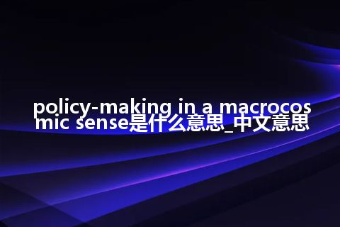 policy-making in a macrocosmic sense是什么意思_中文意思
