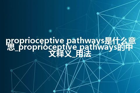 proprioceptive pathways是什么意思_proprioceptive pathways的中文释义_用法