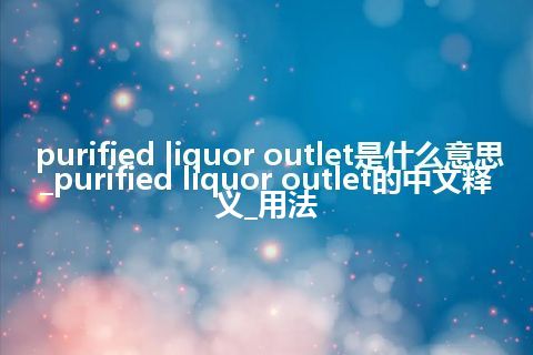 purified liquor outlet是什么意思_purified liquor outlet的中文释义_用法