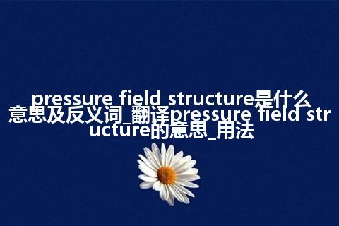pressure field structure是什么意思及反义词_翻译pressure field structure的意思_用法