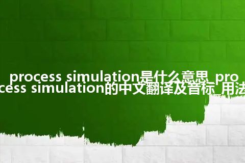 process simulation是什么意思_process simulation的中文翻译及音标_用法
